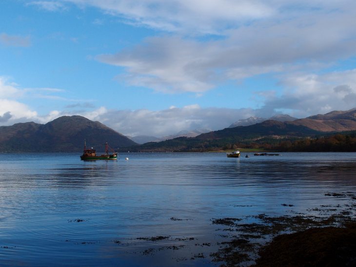 35666452905_420a52894b_k